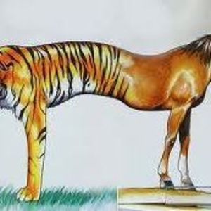 Meet your Posher, Mark